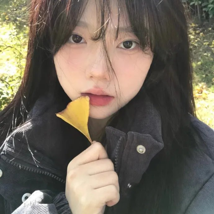 大唐女巡按